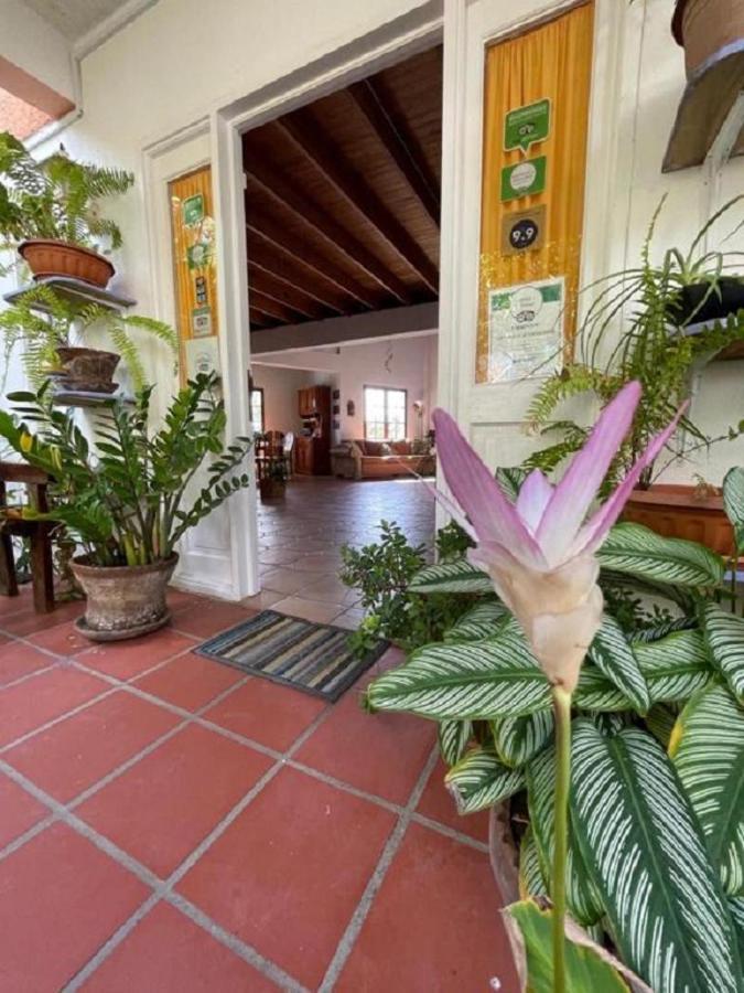 Villa Caribbean Dream Vieux Fort Saint Lucia Exterior foto