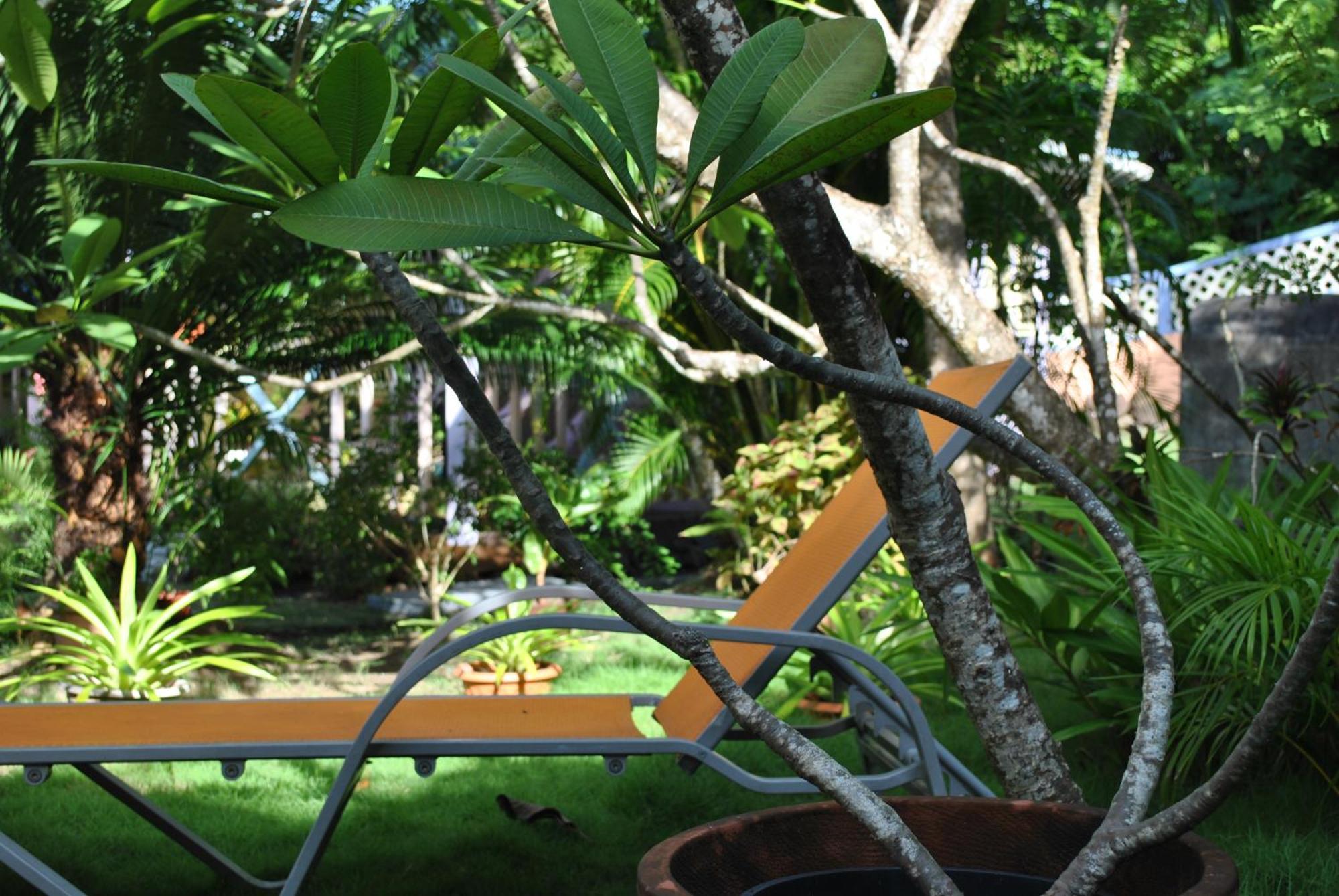 Villa Caribbean Dream Vieux Fort Saint Lucia Exterior foto