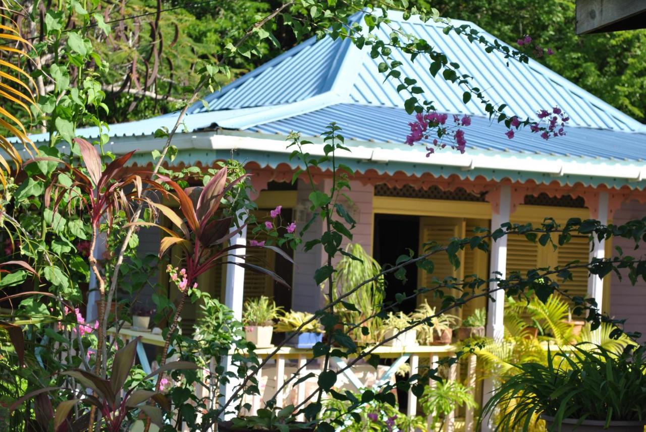 Villa Caribbean Dream Vieux Fort Saint Lucia Exterior foto